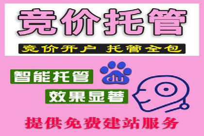 SEM托管代运营案例：打造高效营销体系